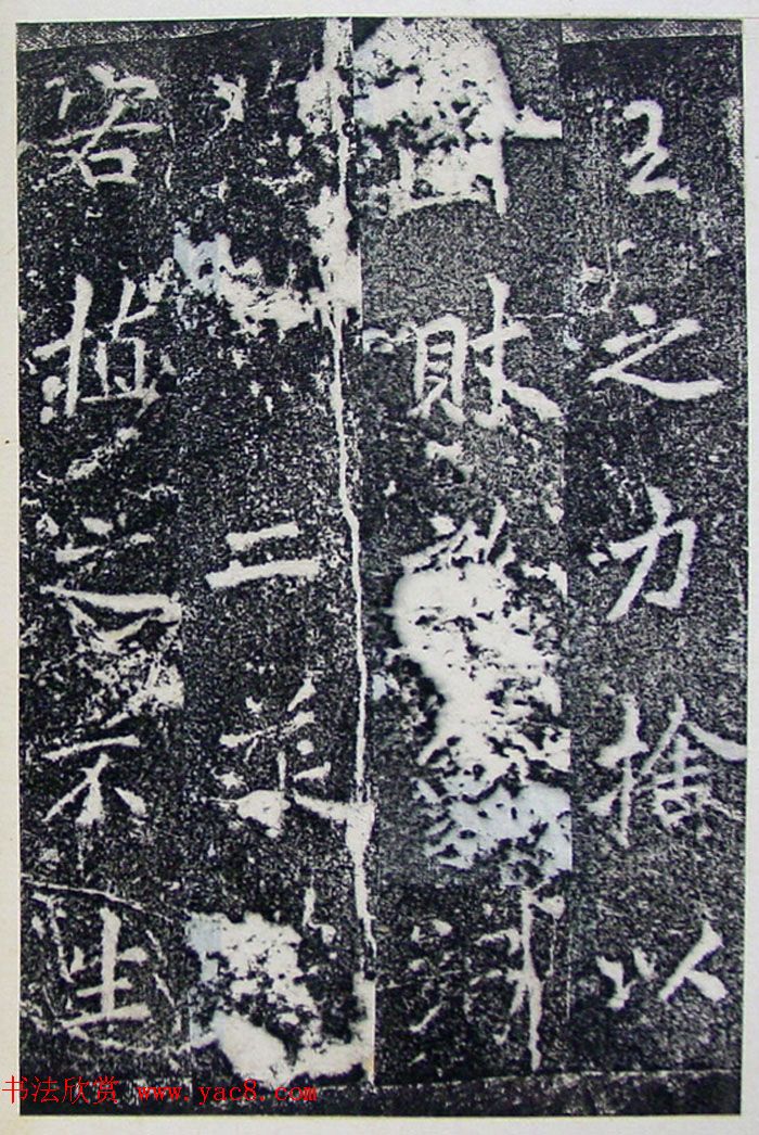 ƴ顶±̲