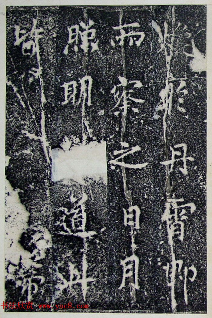 ƴ顶±̲