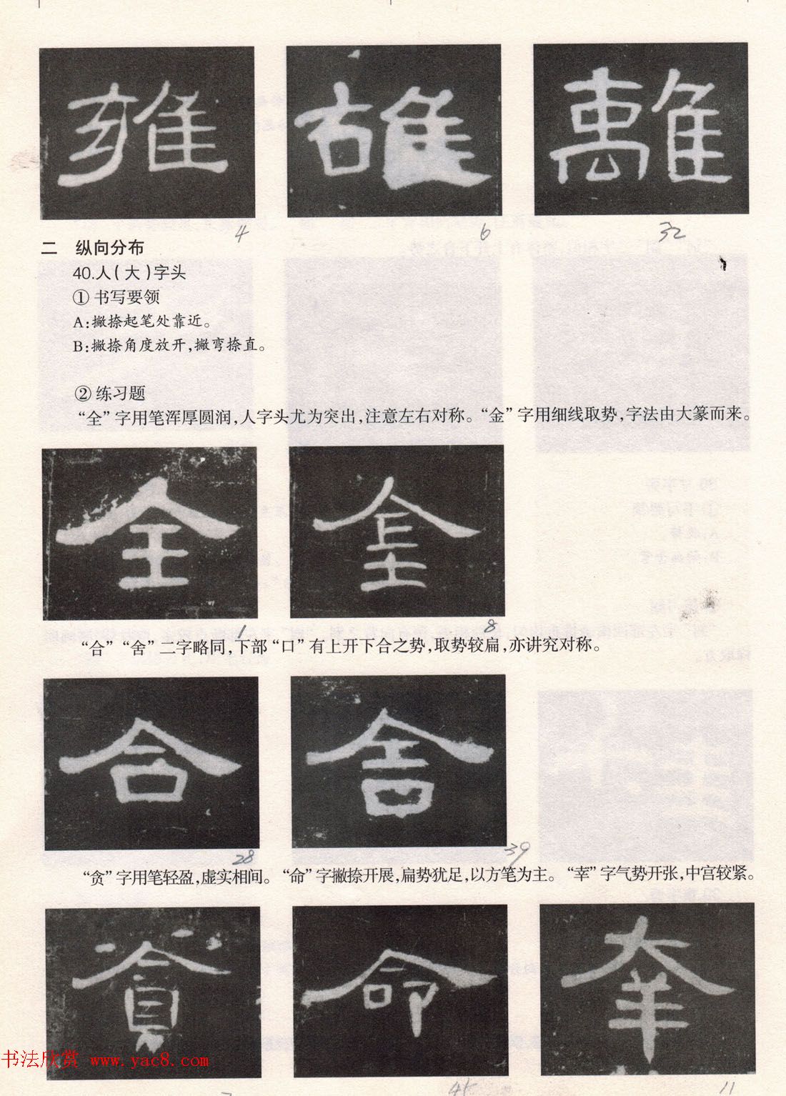 鷨̡̳ȫ--ƫԲס