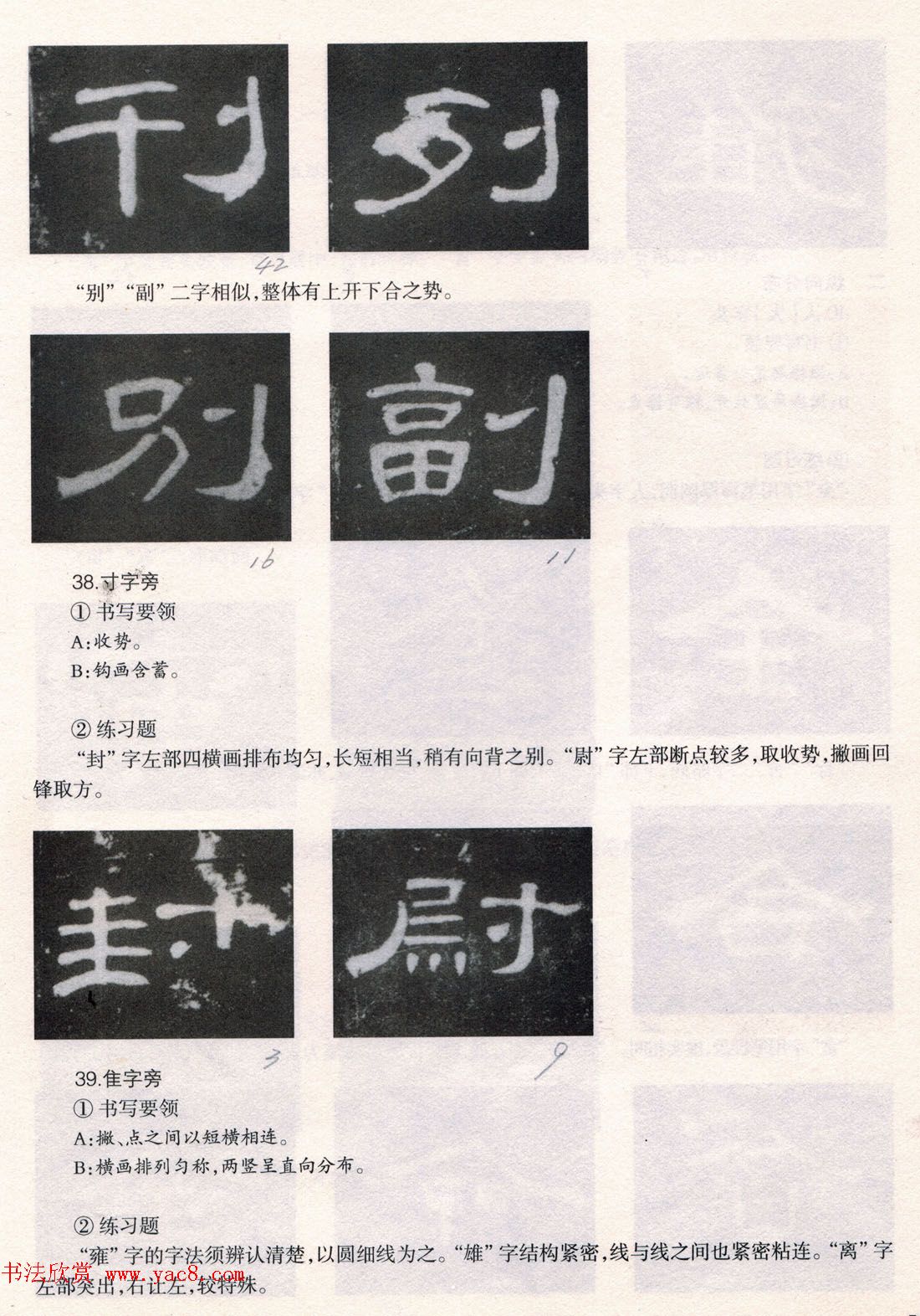 鷨̡̳ȫ--ƫԲס