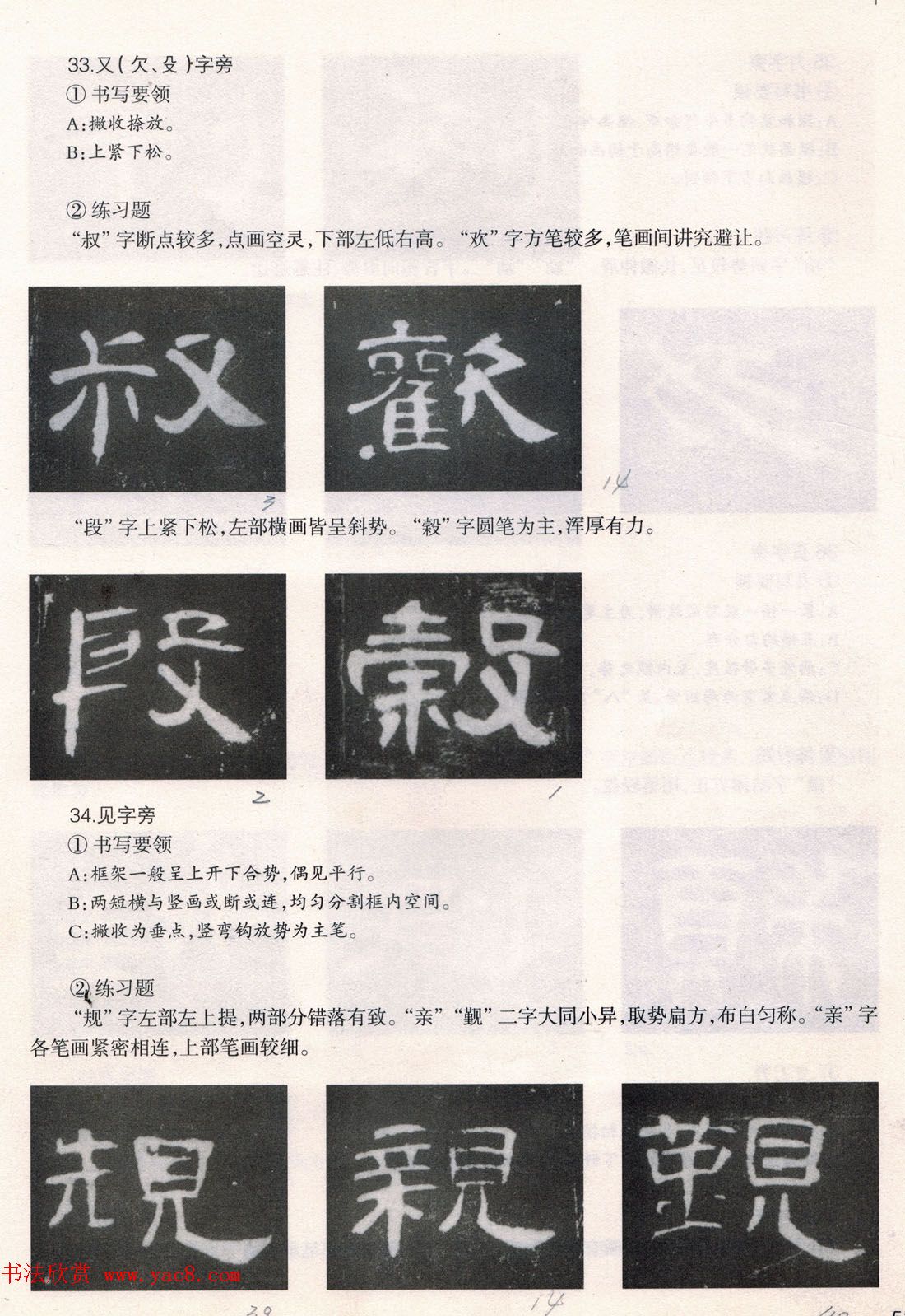 鷨̡̳ȫ--ƫԲס