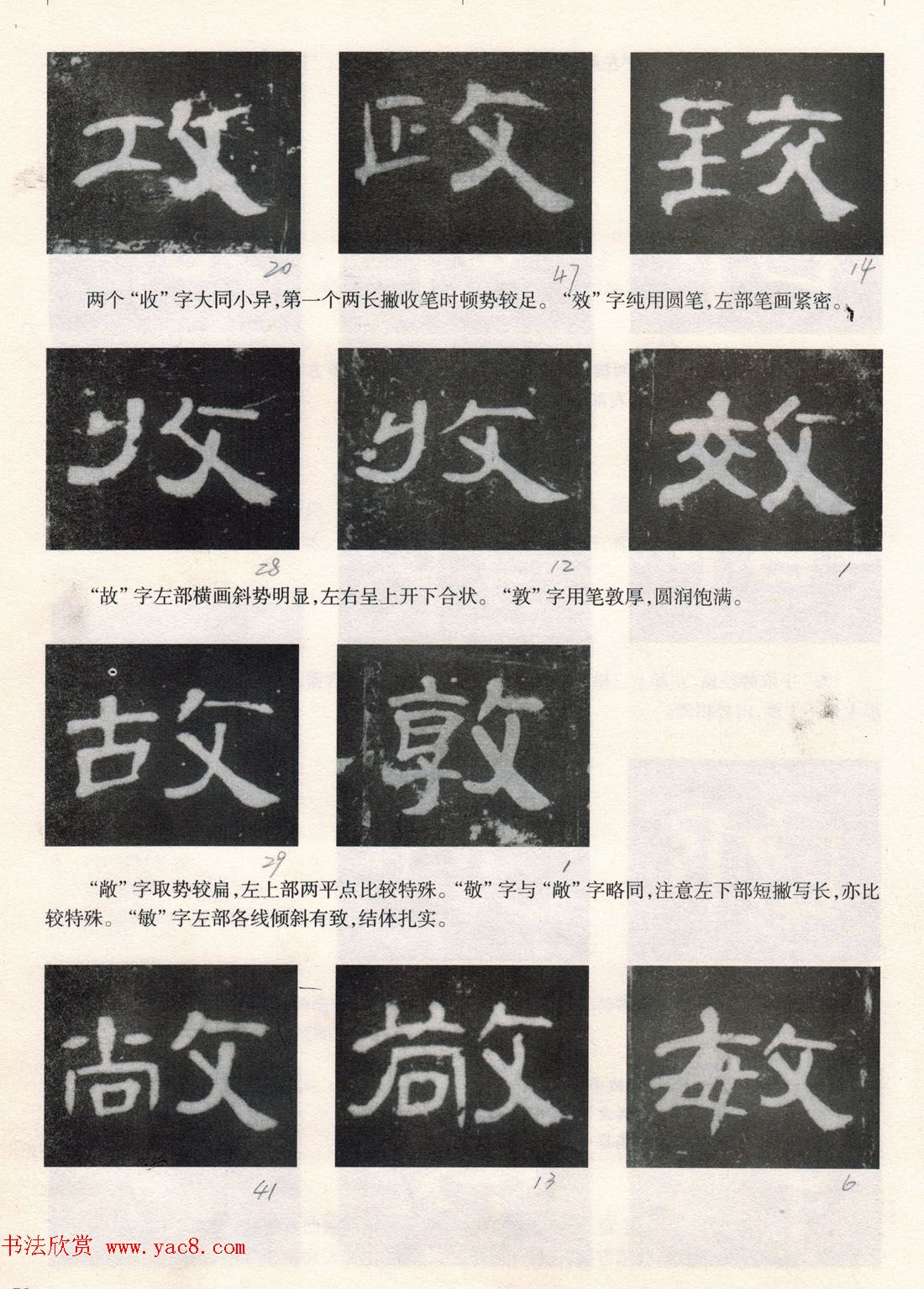 鷨̡̳ȫ--ƫԲס