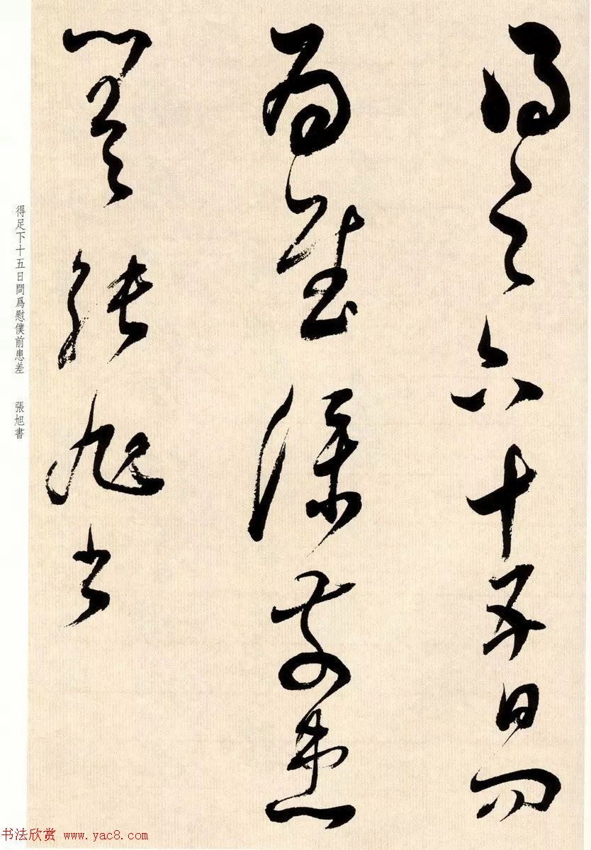 鷨Ҷٴ