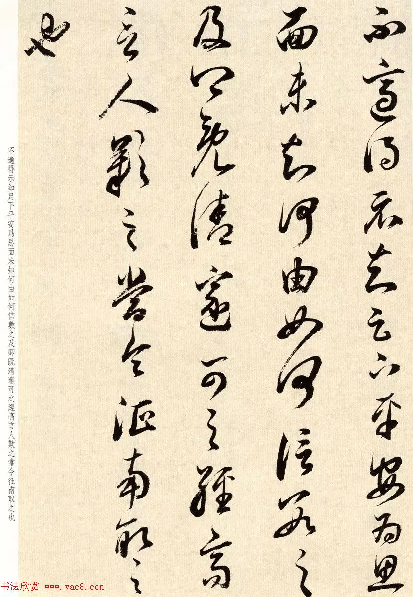 鷨ٴ