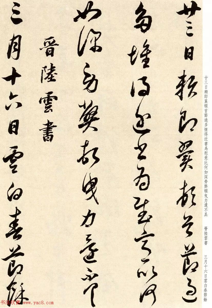 鷨ٴ