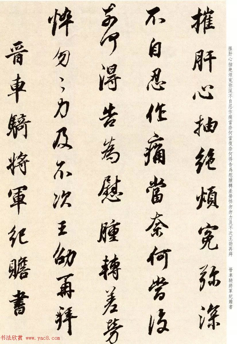 鷨ٴ