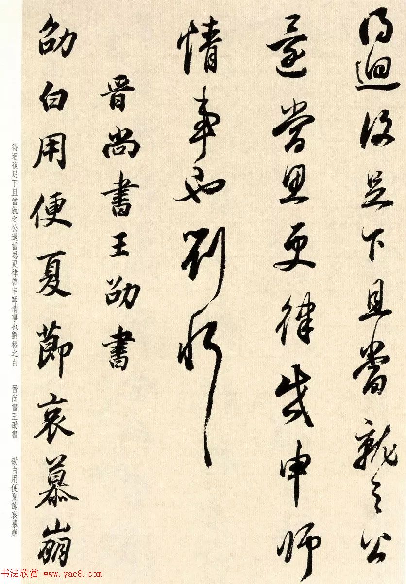 鷨ٴ