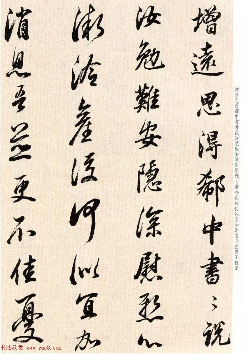 鷨ٴ