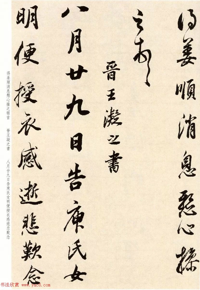 鷨ٴ
