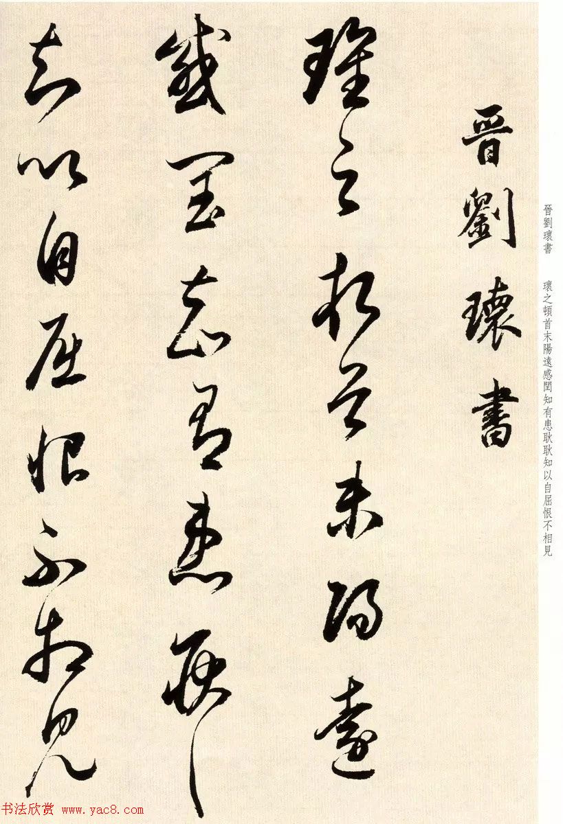 鷨ٴ