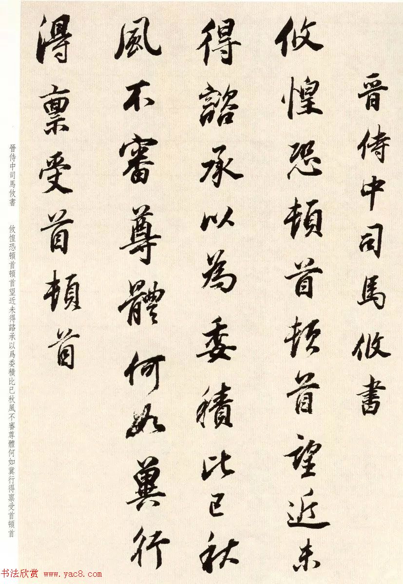 鷨ٴ