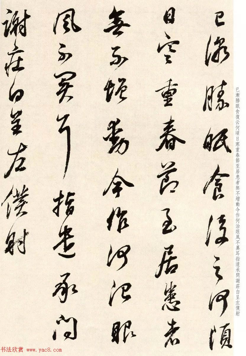 鷨ٴ