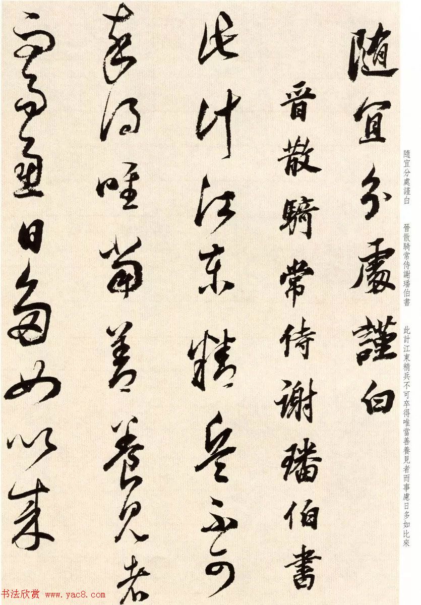 鷨ٴ