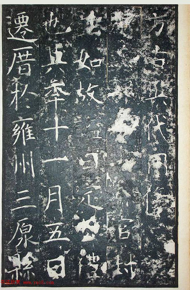 ƴ顶+ܻ