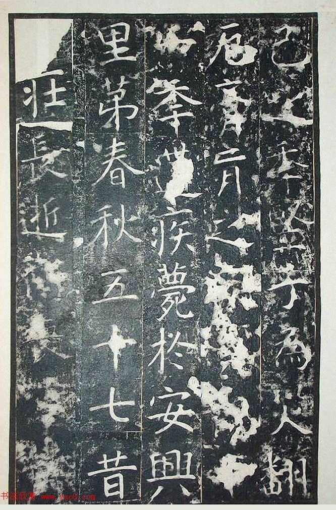 ƴ顶+ܻ
