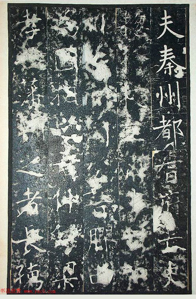 ƴ顶+ܻ
