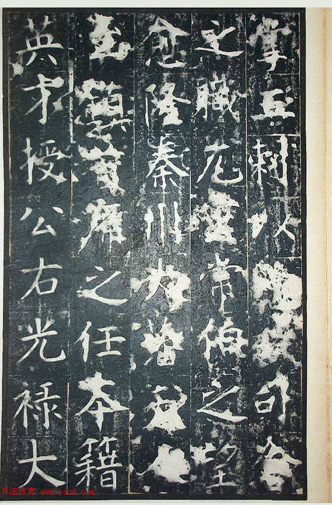 ƴ顶+ܻ