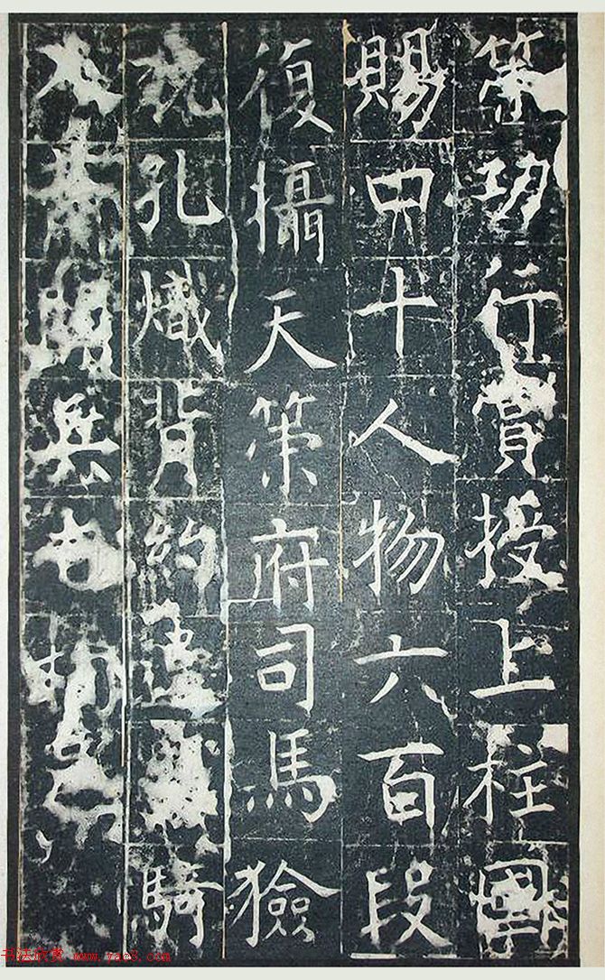 ƴ顶+ܻ