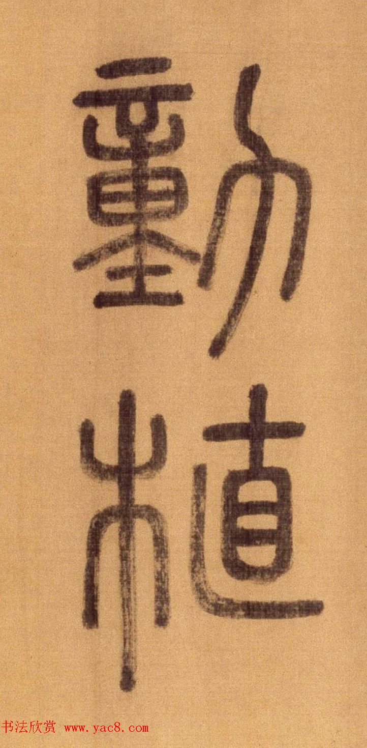 ׭鳤ʫ