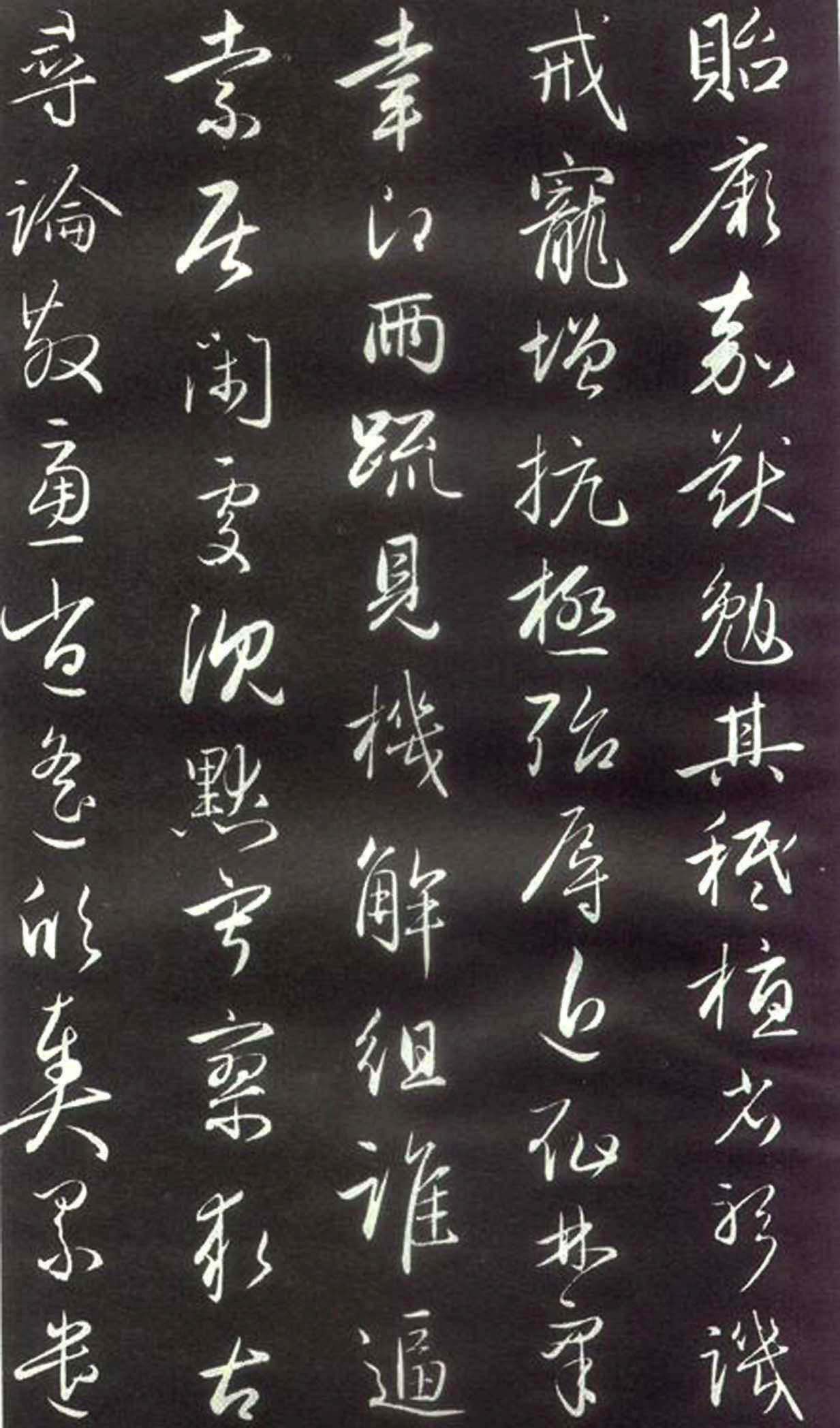 \вݻ塶ǧġ