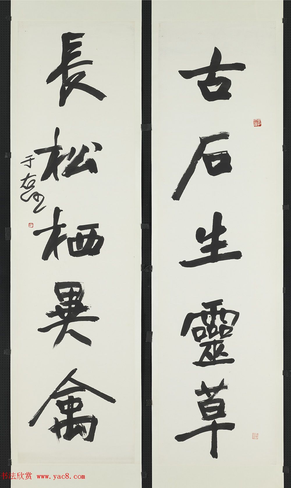 鷨