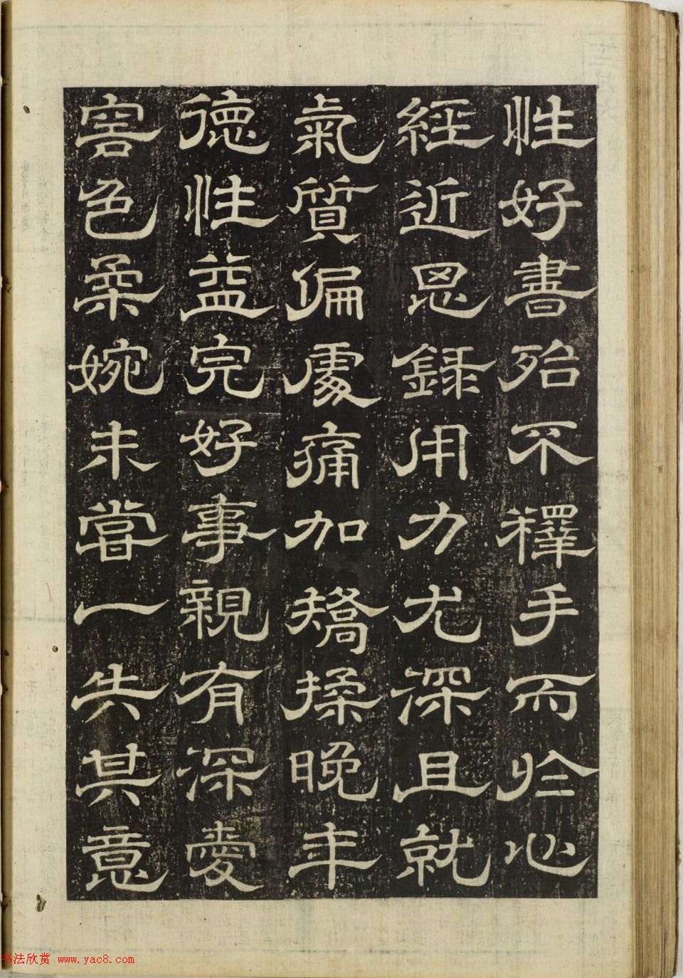 ʽ顶ȨĹ