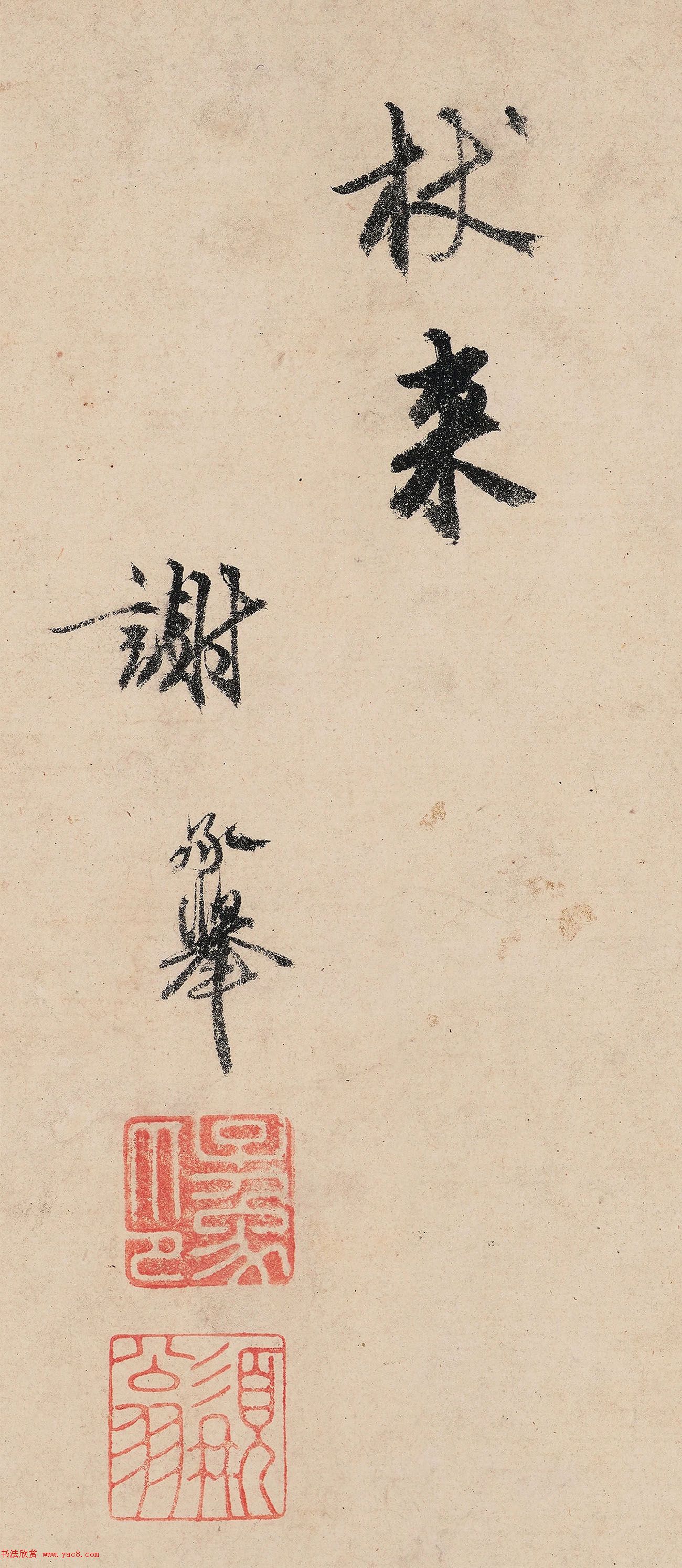 ло鷨ʫ