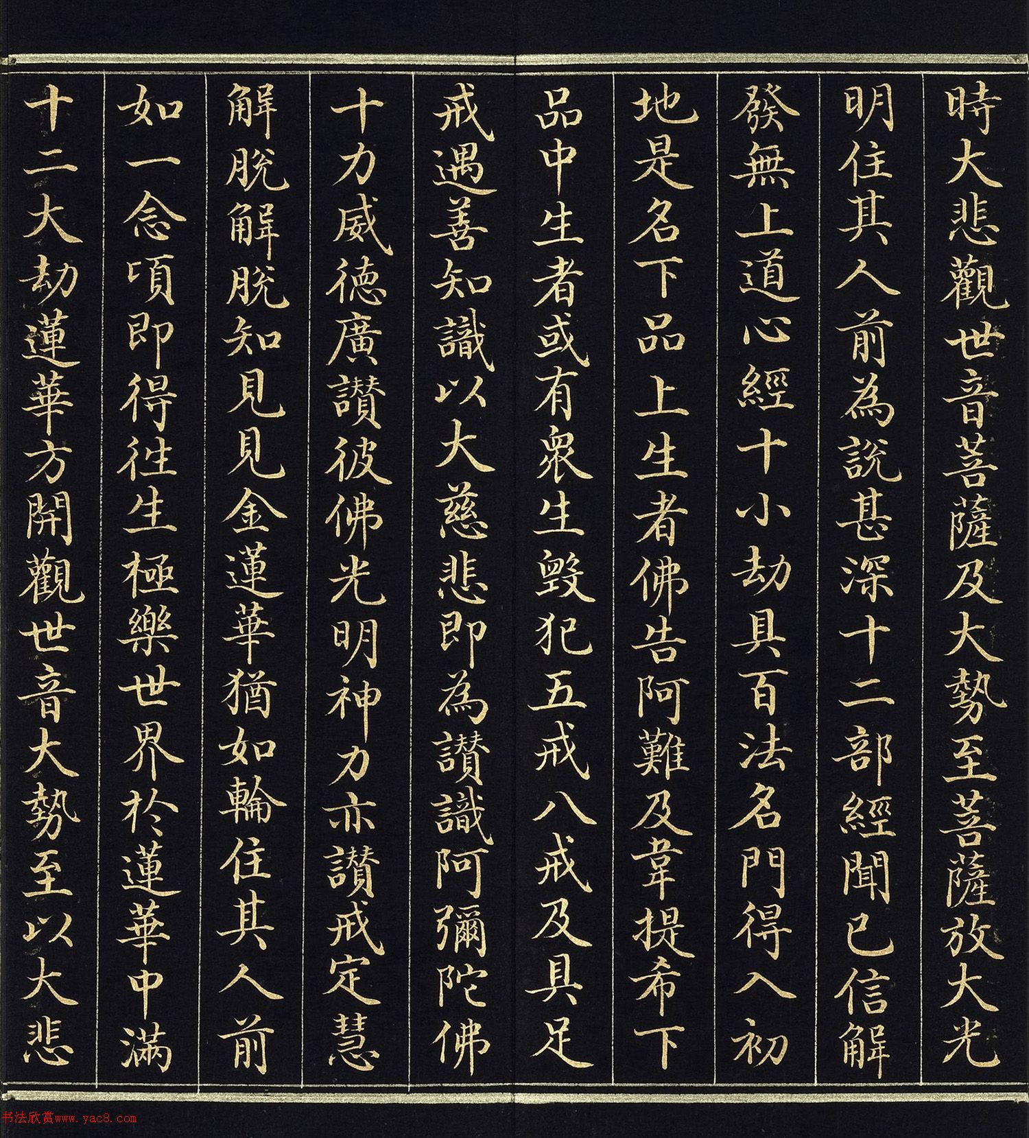 ֿ顶˵ٷ𾭡