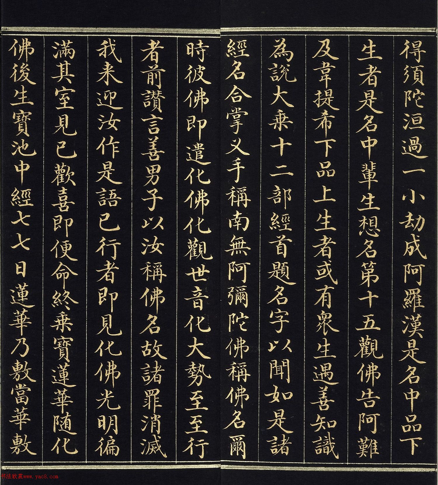 ֿ顶˵ٷ𾭡