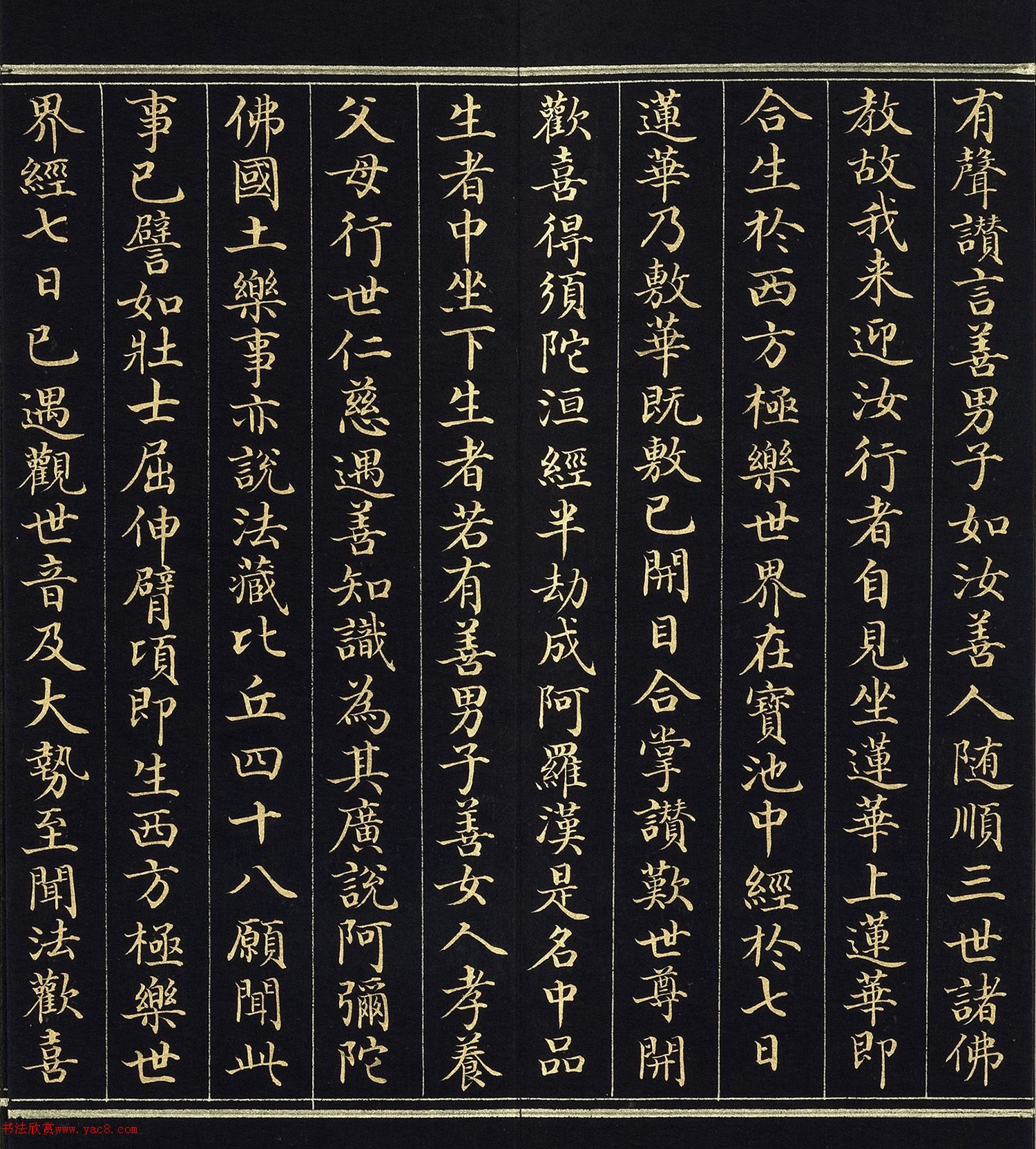 ֿ顶˵ٷ𾭡
