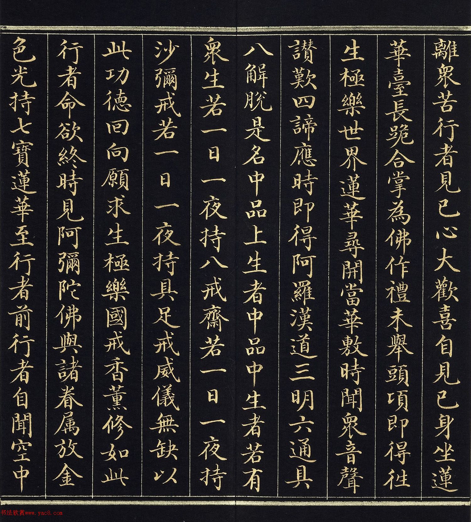ֿ顶˵ٷ𾭡