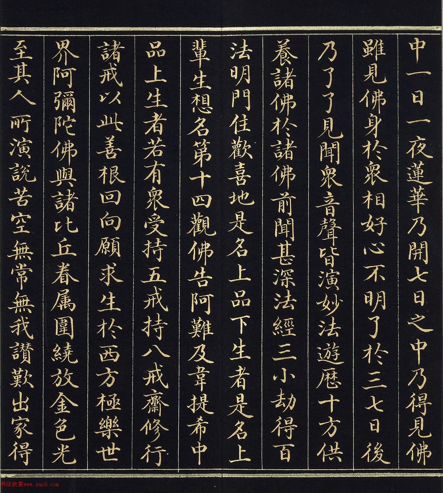 ֿ顶˵ٷ𾭡