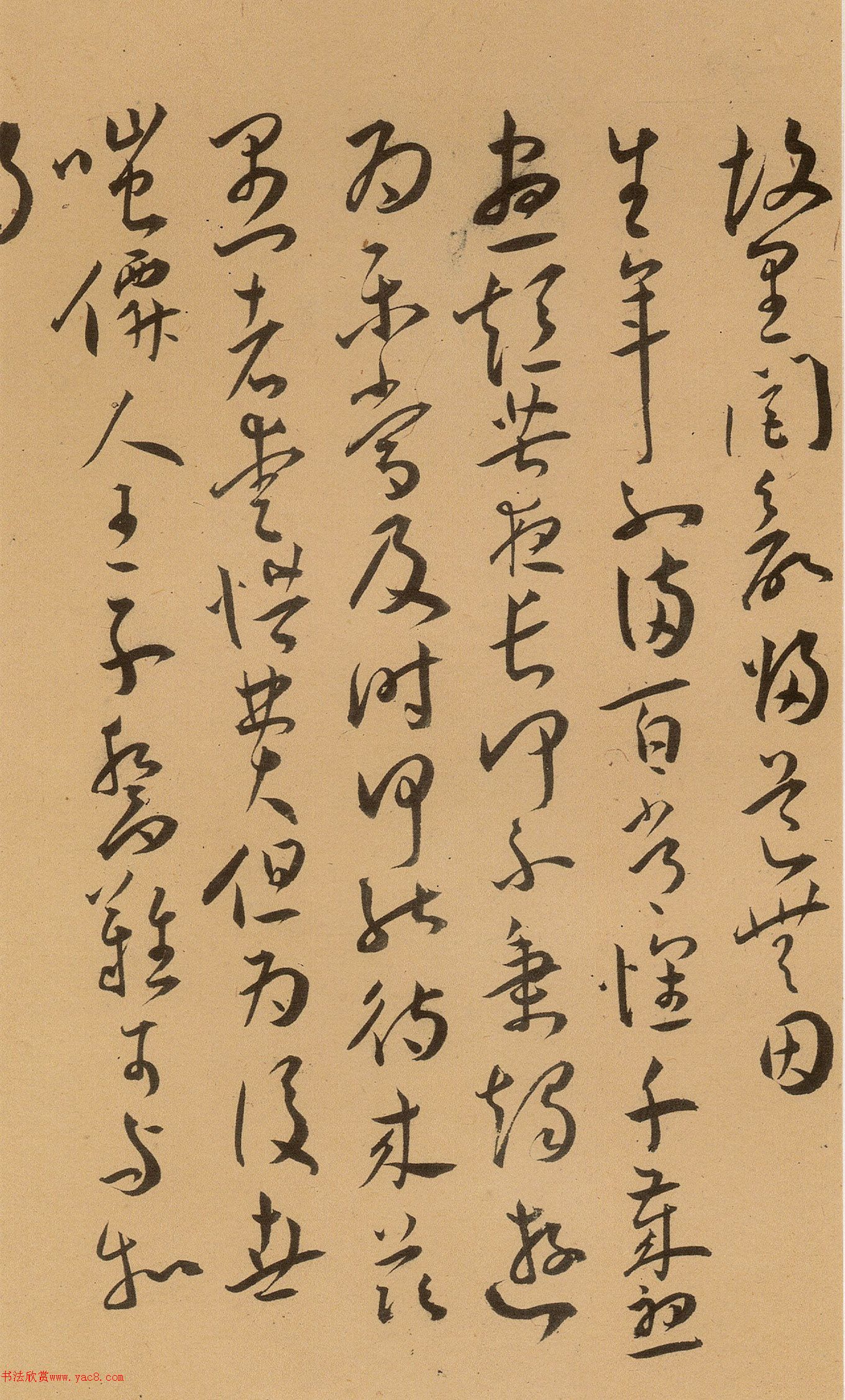 34ʫʮ׾