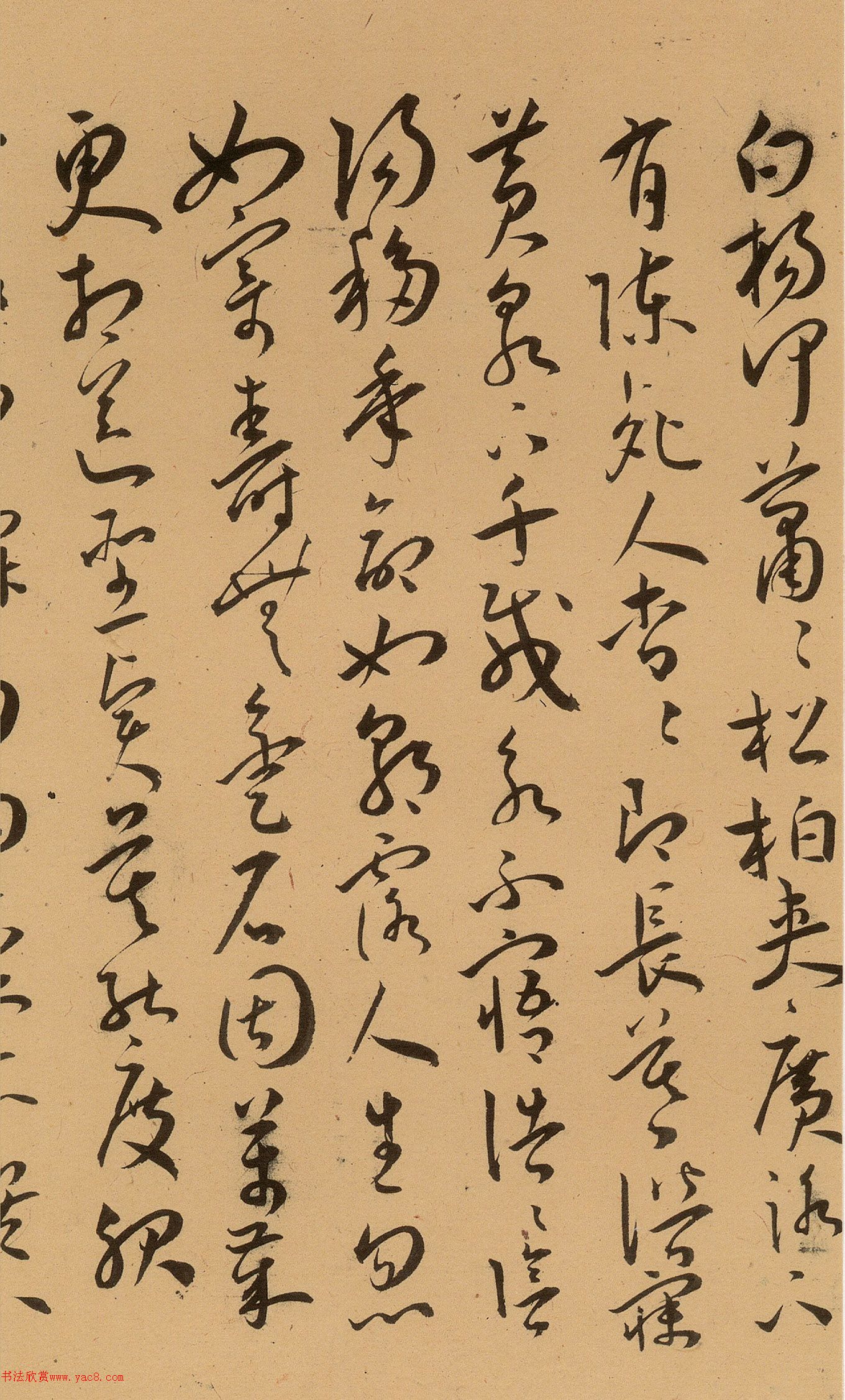 34ʫʮ׾