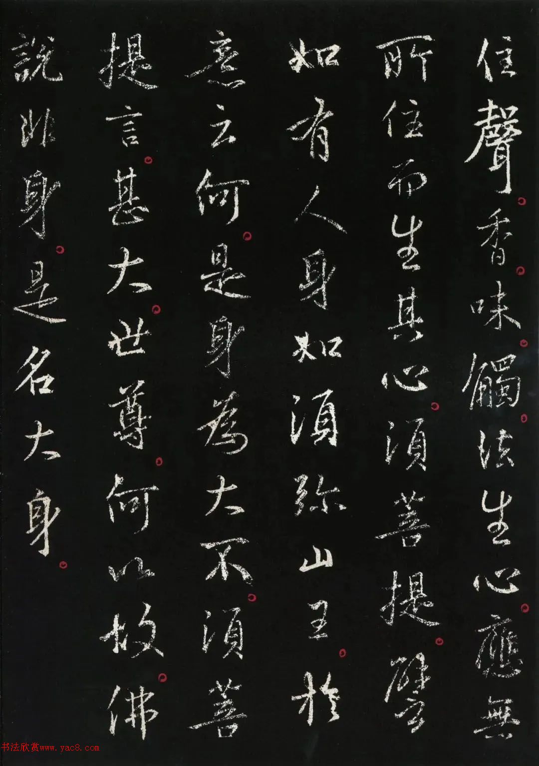 ֮顶վְ
