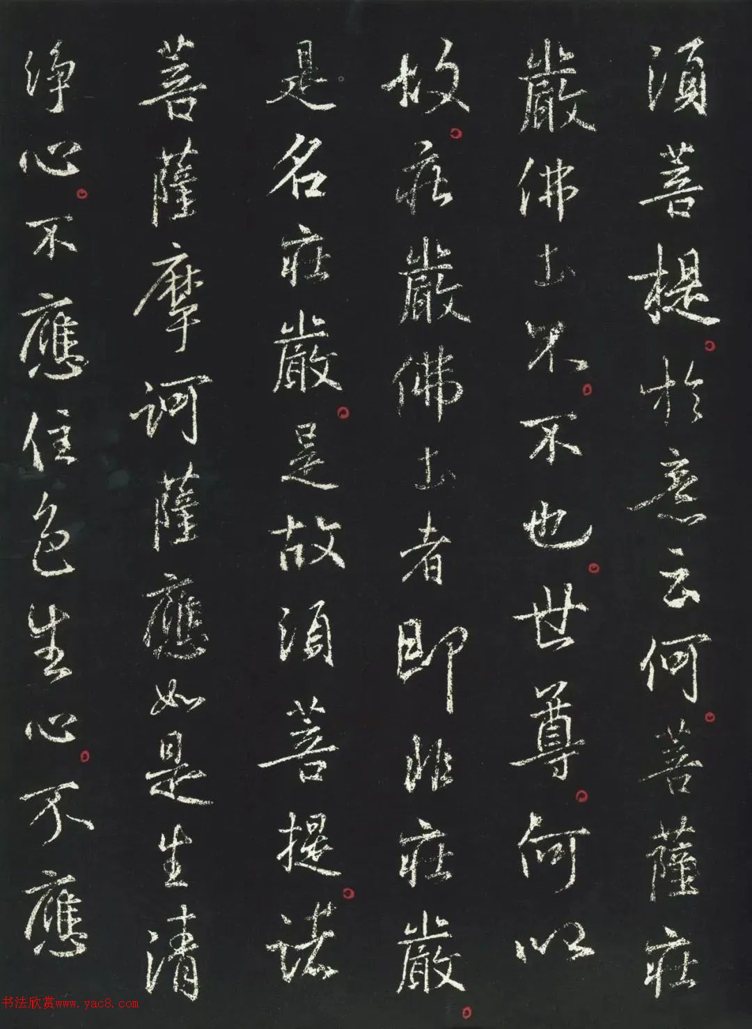 ֮顶վְ