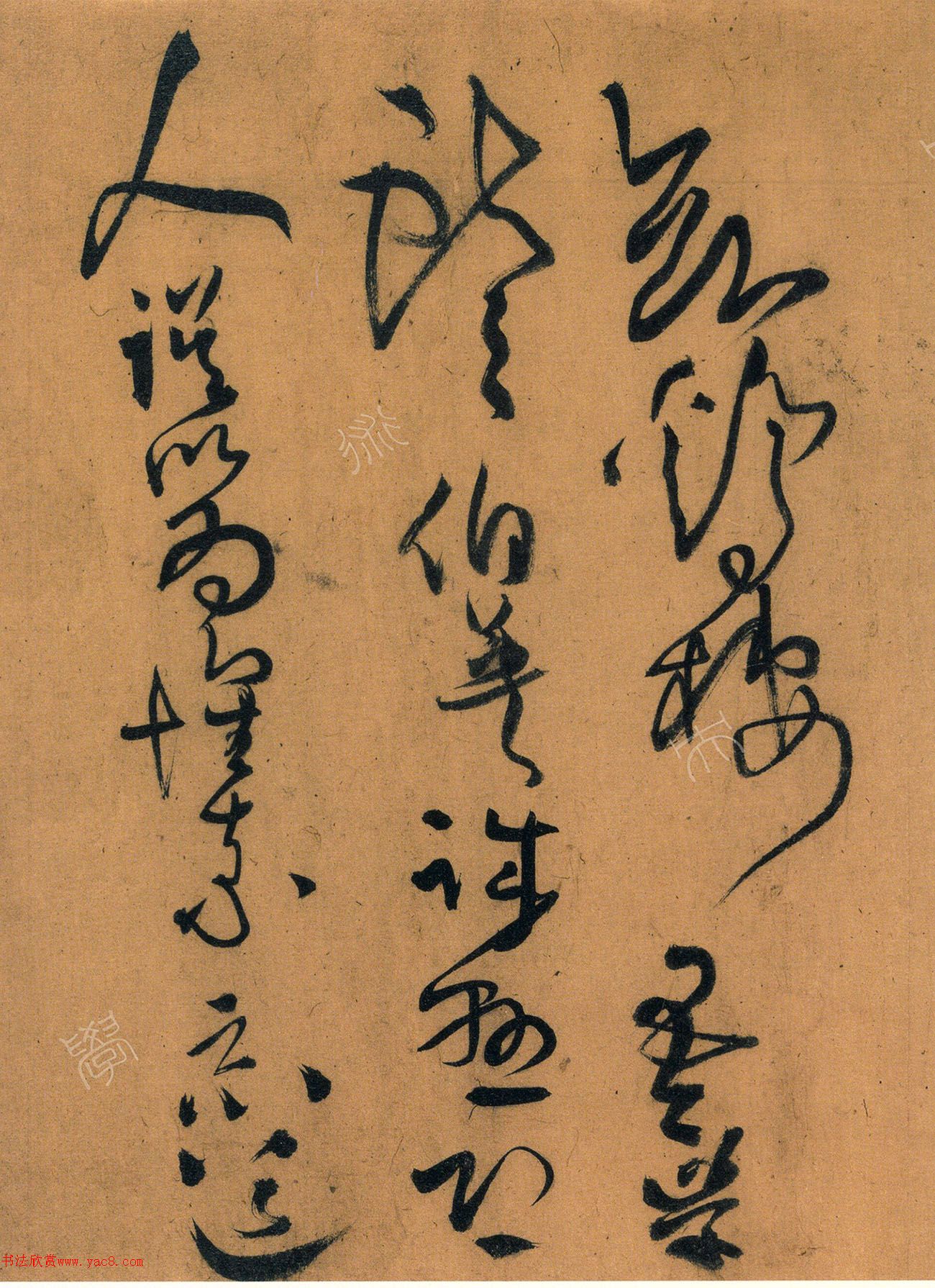 56ʫ׾