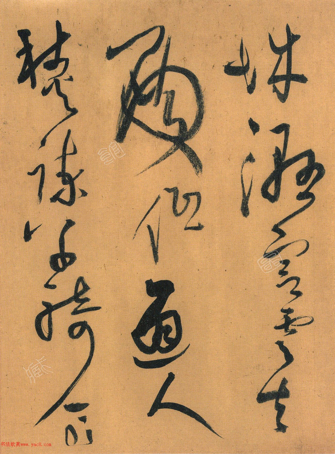56ʫ׾