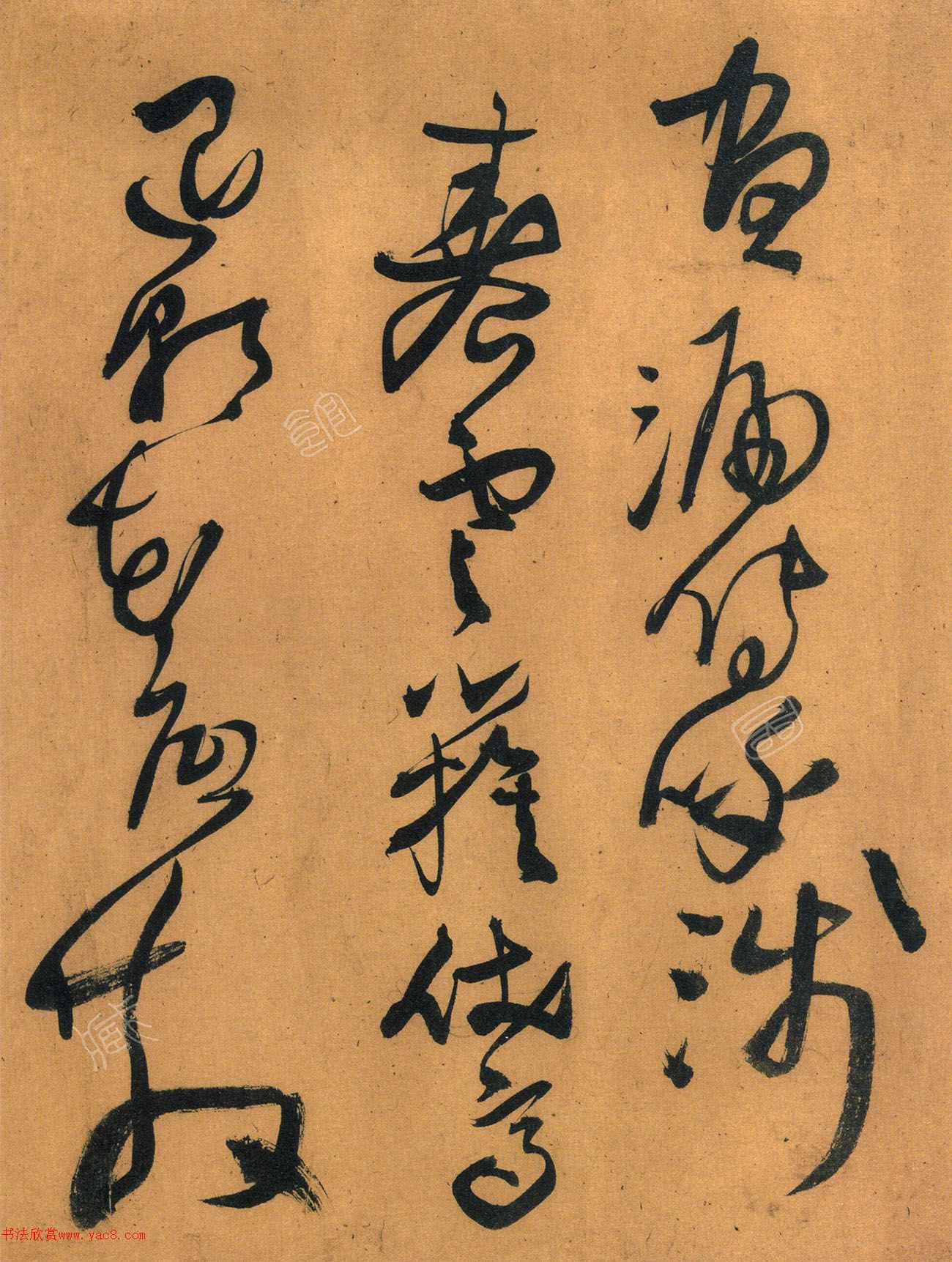 56ʫ׾