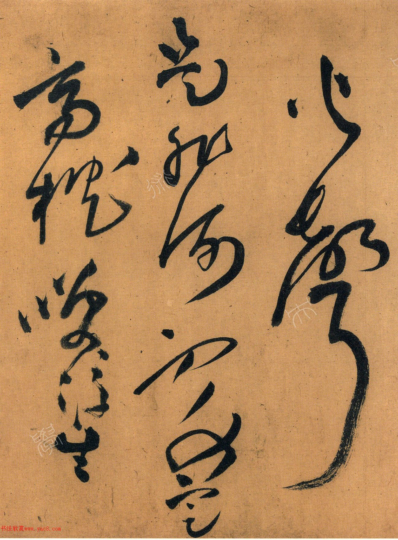 56ʫ׾