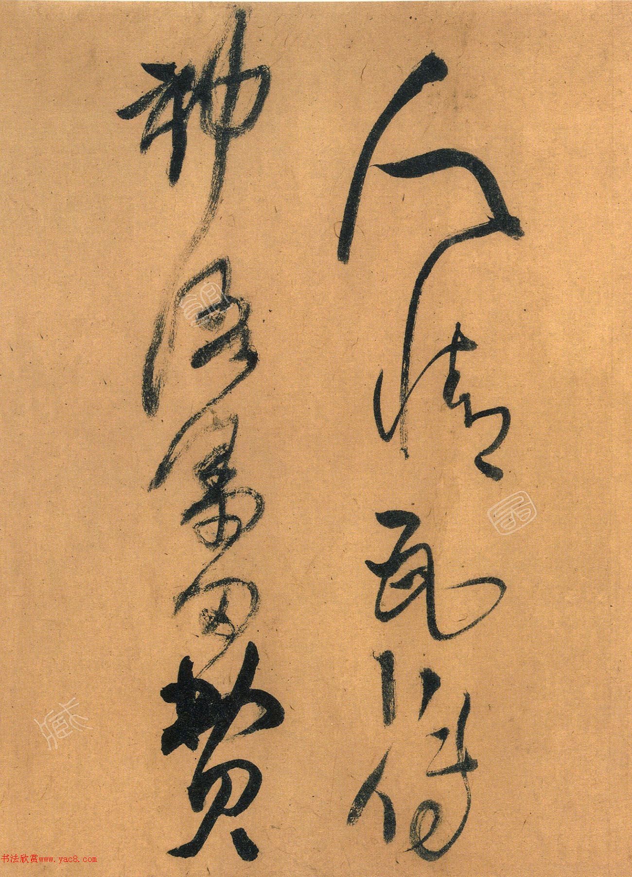 56ʫ׾