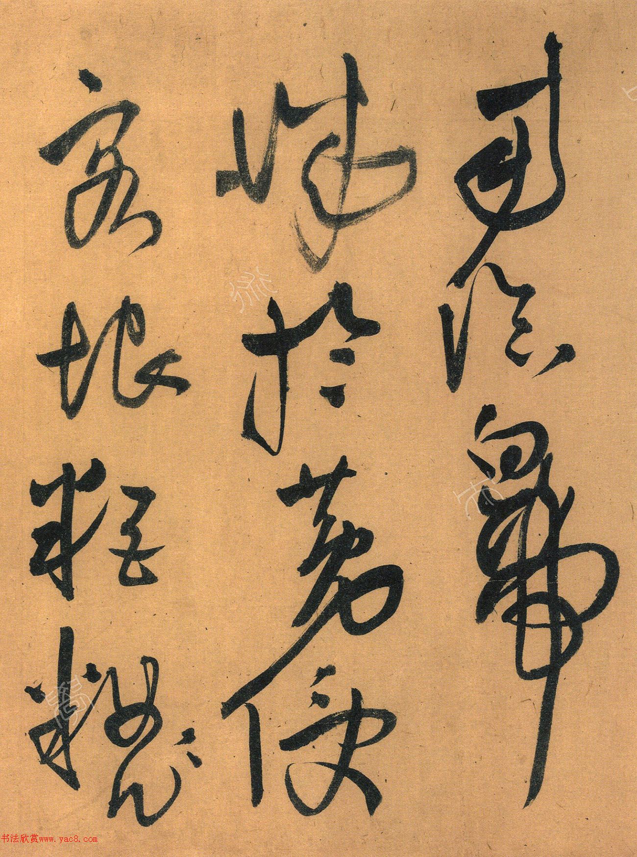 56ʫ׾