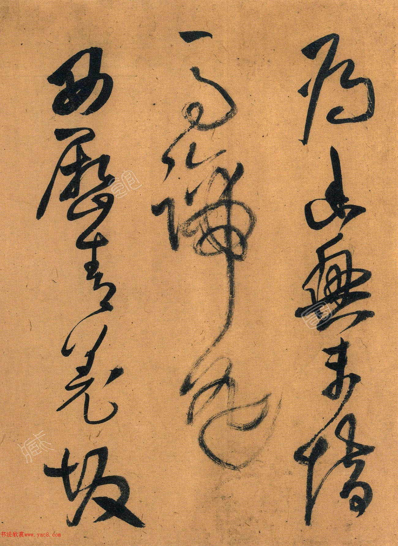 56ʫ׾
