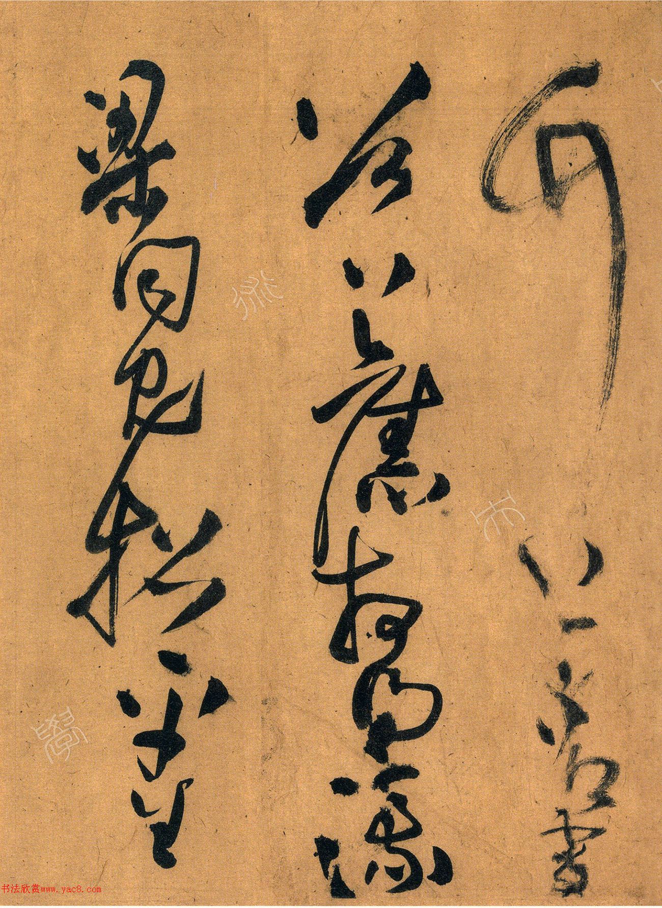 56ʫ׾