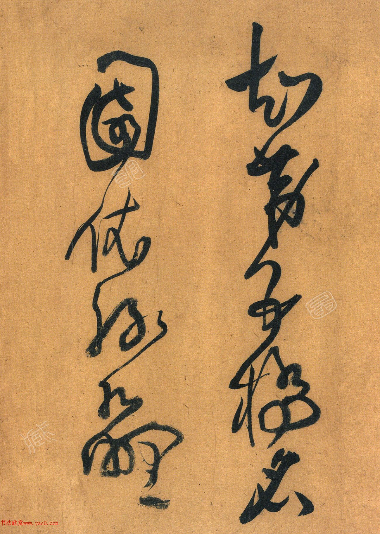 56ʫ׾