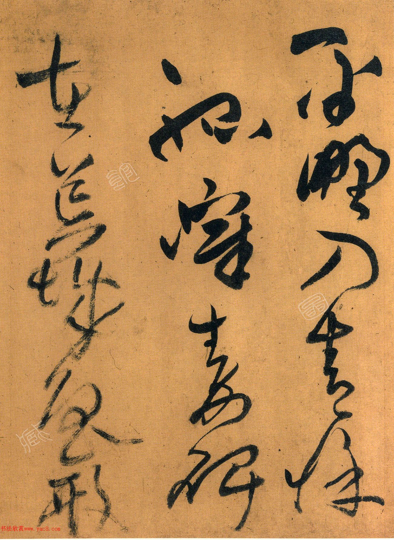 56ʫ׾