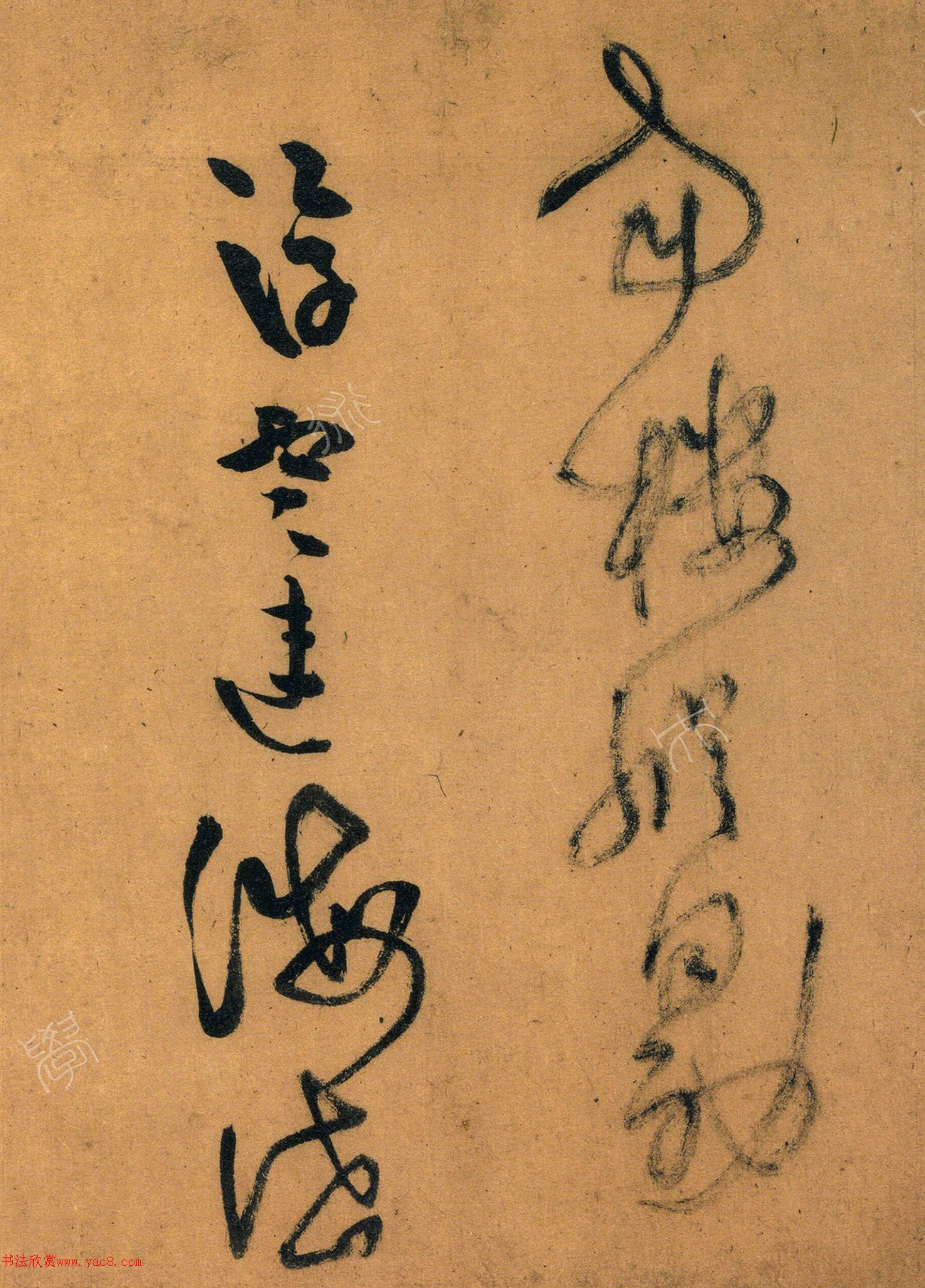 56ʫ׾