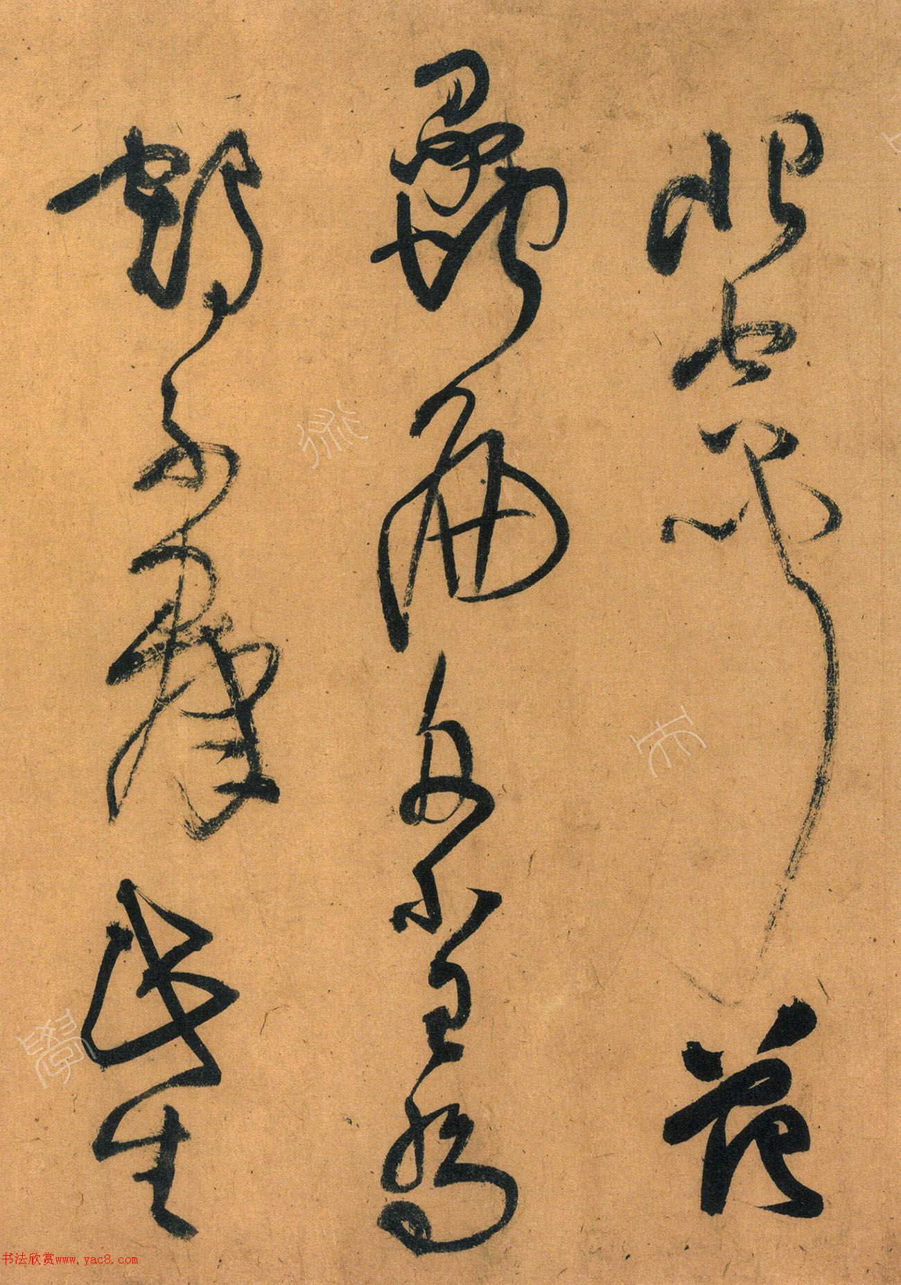 56ʫ׾