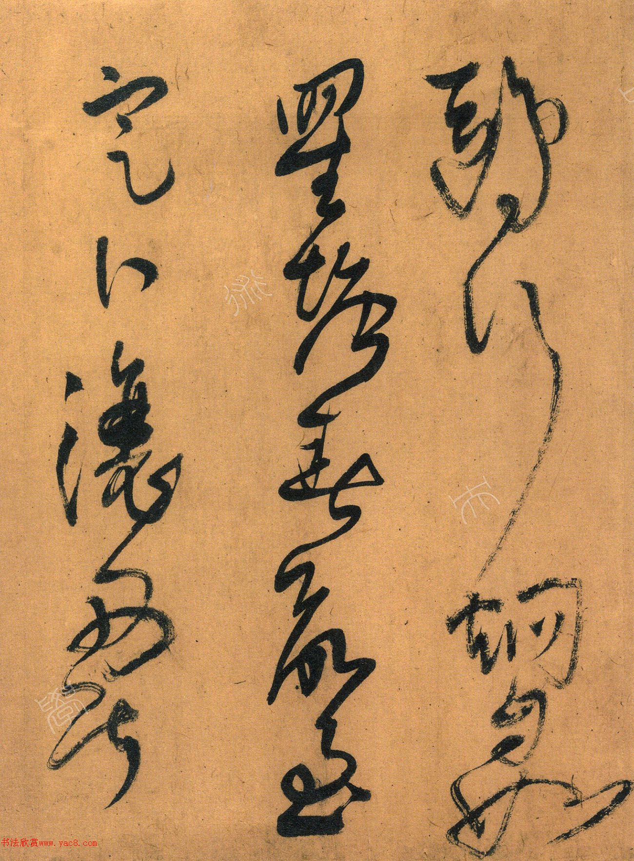 56ʫ׾