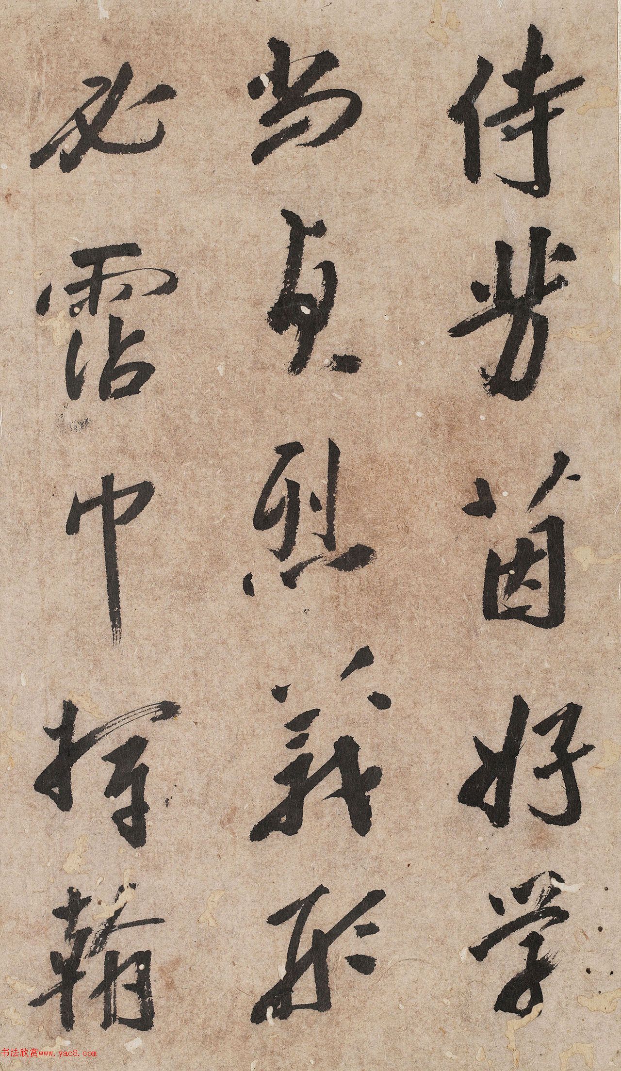в顶Źʫ
